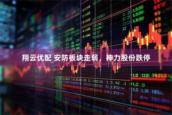 翔云优配 安防板块走弱，神力股份跌停